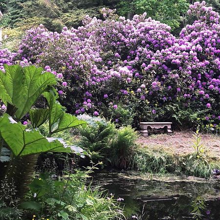 Vila Rapunzel Trifft Dornroeschen Rosenthal-Bielatal Exteriér fotografie