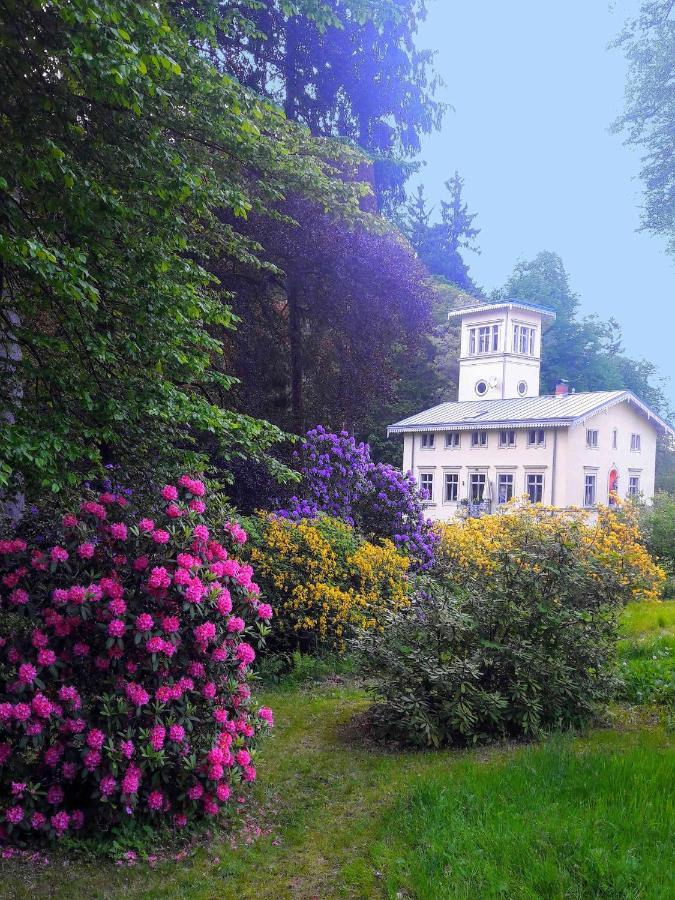 Vila Rapunzel Trifft Dornroeschen Rosenthal-Bielatal Exteriér fotografie