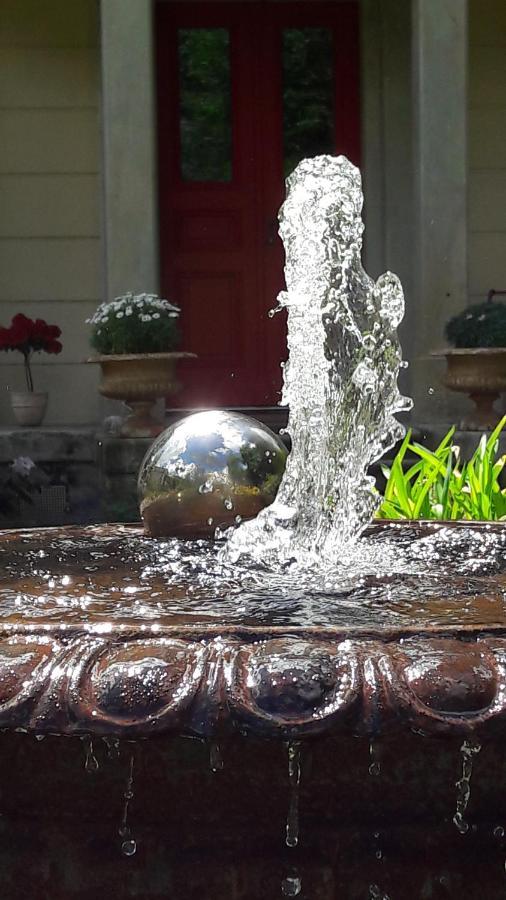 Vila Rapunzel Trifft Dornroeschen Rosenthal-Bielatal Exteriér fotografie