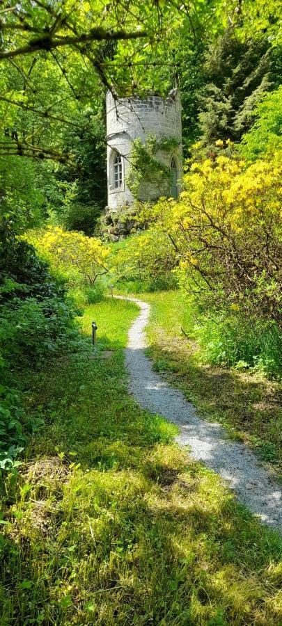 Vila Rapunzel Trifft Dornroeschen Rosenthal-Bielatal Exteriér fotografie