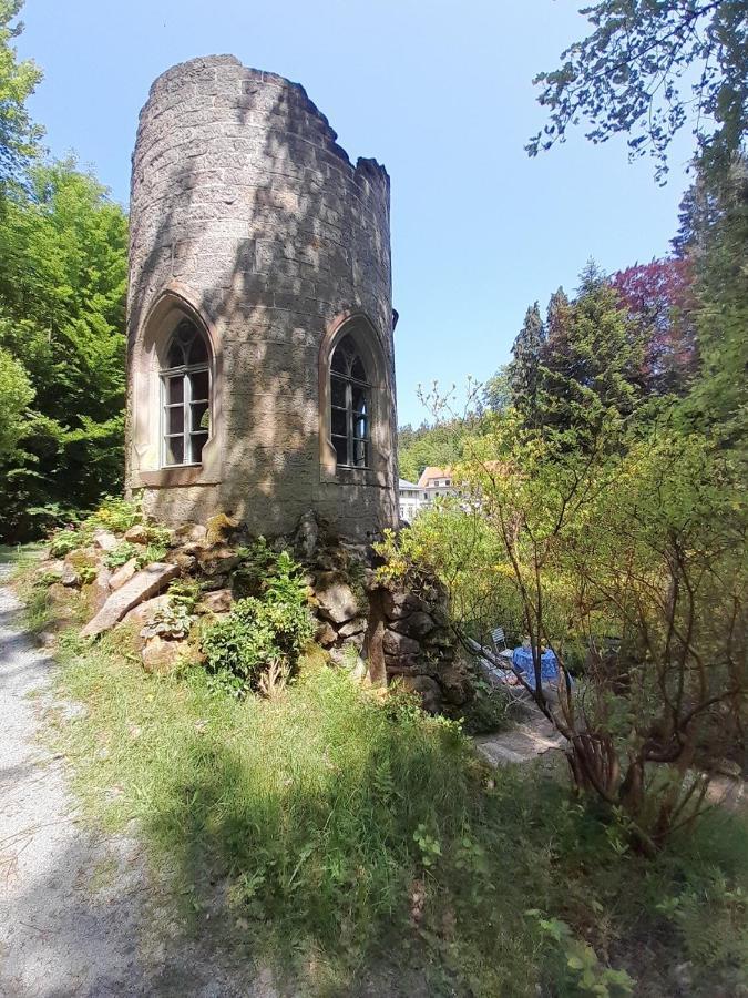 Vila Rapunzel Trifft Dornroeschen Rosenthal-Bielatal Exteriér fotografie