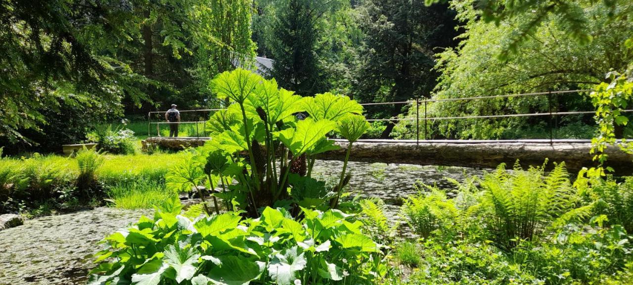 Vila Rapunzel Trifft Dornroeschen Rosenthal-Bielatal Exteriér fotografie