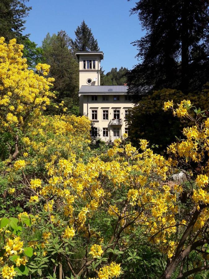 Vila Rapunzel Trifft Dornroeschen Rosenthal-Bielatal Exteriér fotografie